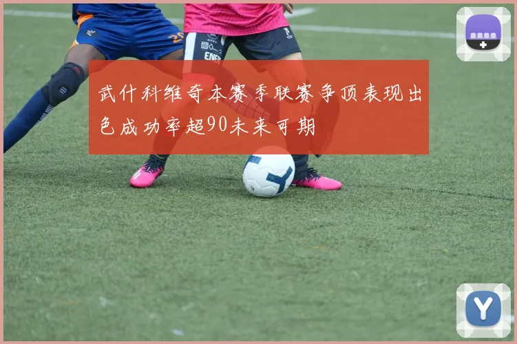 武什科维奇本赛季联赛争顶表现出色成功率超90未来可期